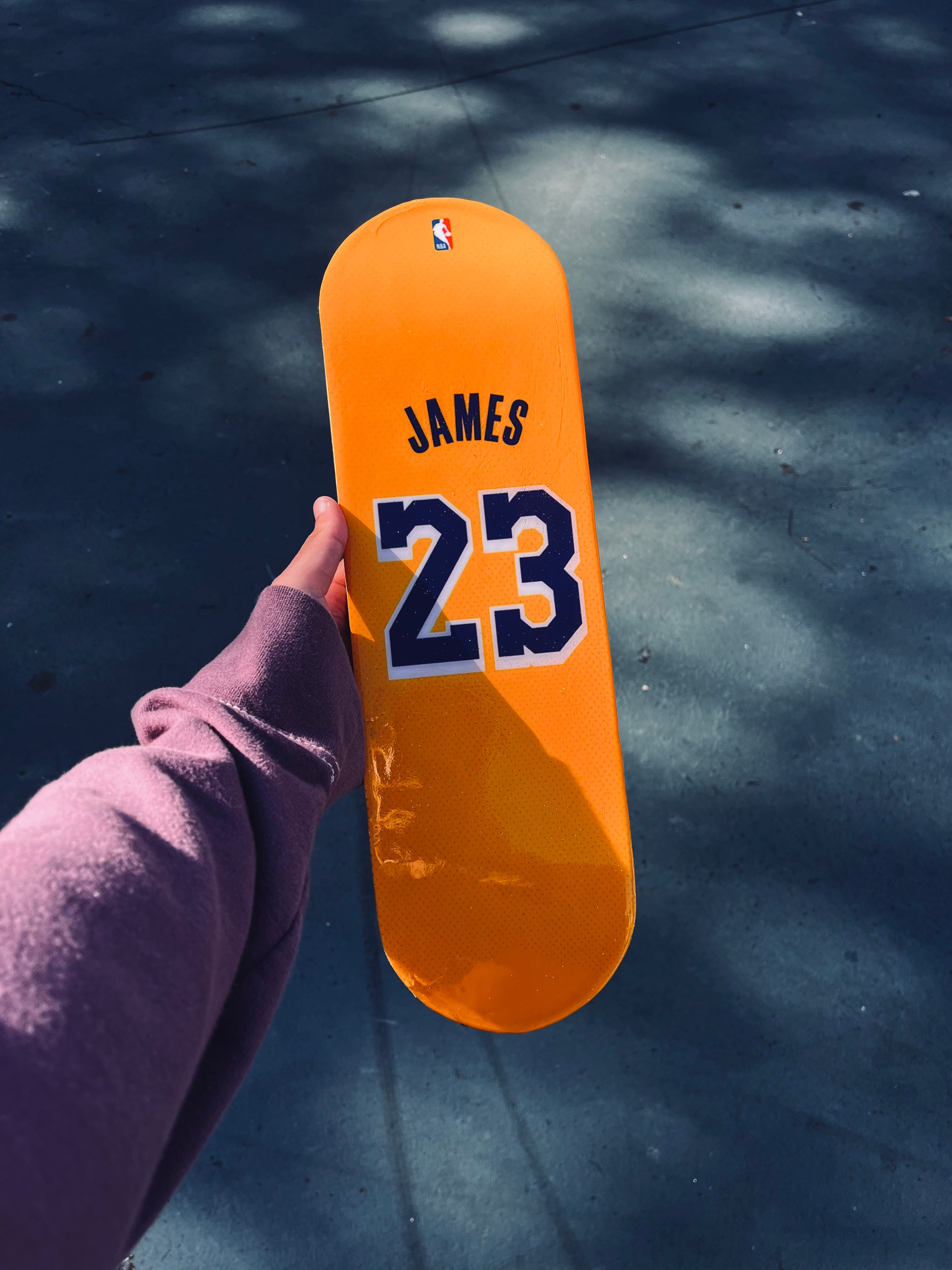 LeBron James Mini Board